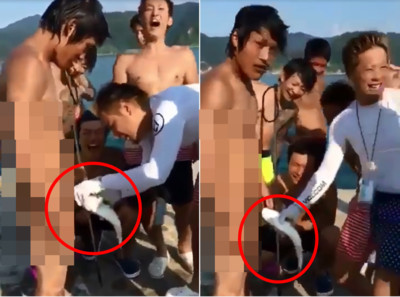 活魚緊咬小雞雞!皺眉哥裸泳一半「溫暖包覆」 損友撥弄30cm笑炸
