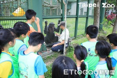 如何讓黑猩猩張嘴刷牙？暑假到動物園體驗保育員甘苦