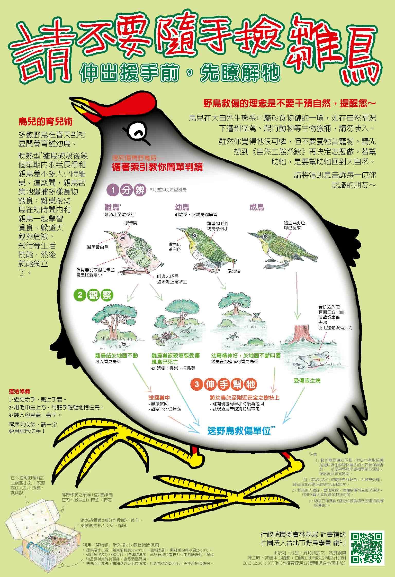 ▲「好心餵小米」卻塞爆嗉囔！　專家一張圖教你撿到鳥怎麼辦。（圖／台北鳥會野鳥救傷中心提供）