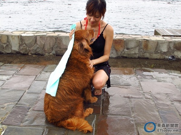 夏天好热!7招让狗狗爱上「游泳」 「开心玩」