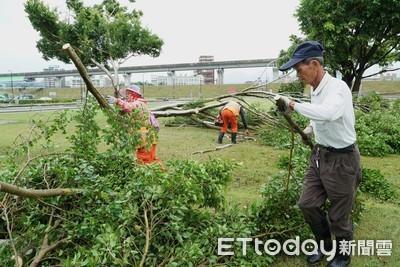 愛車有了天災險　颱風樹倒擲石　天外飛來意外樣樣賠