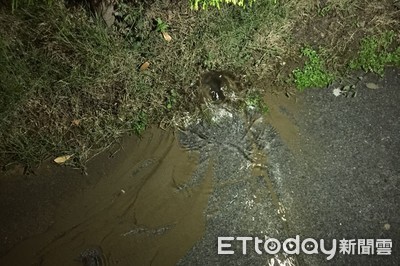 台南地震水管破裂導致路面滲水　漏夜搶修