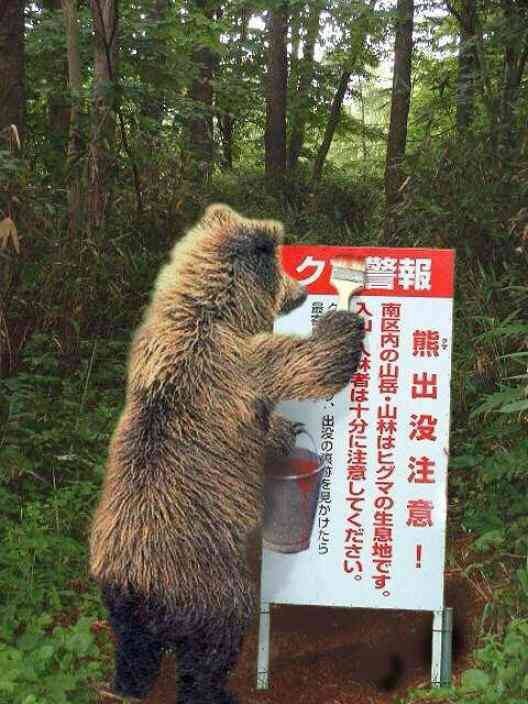 ▲「熊出沒」在現今的北海道仍然不只是商品商標，而是北海道民的日常。（圖／翻攝自「龍貓大王通信」臉書粉絲專頁）