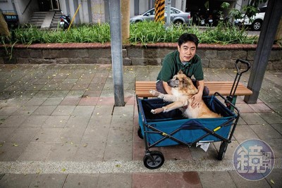 旅美樂手林煒盛返台收編老病浪　每天花4HR遛狗燒百萬治療