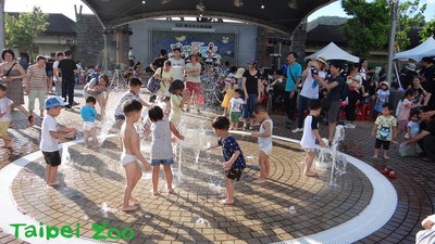 暑假僅開放8天！　週末夜來動物園聽音樂、喝好茶、品竹筍