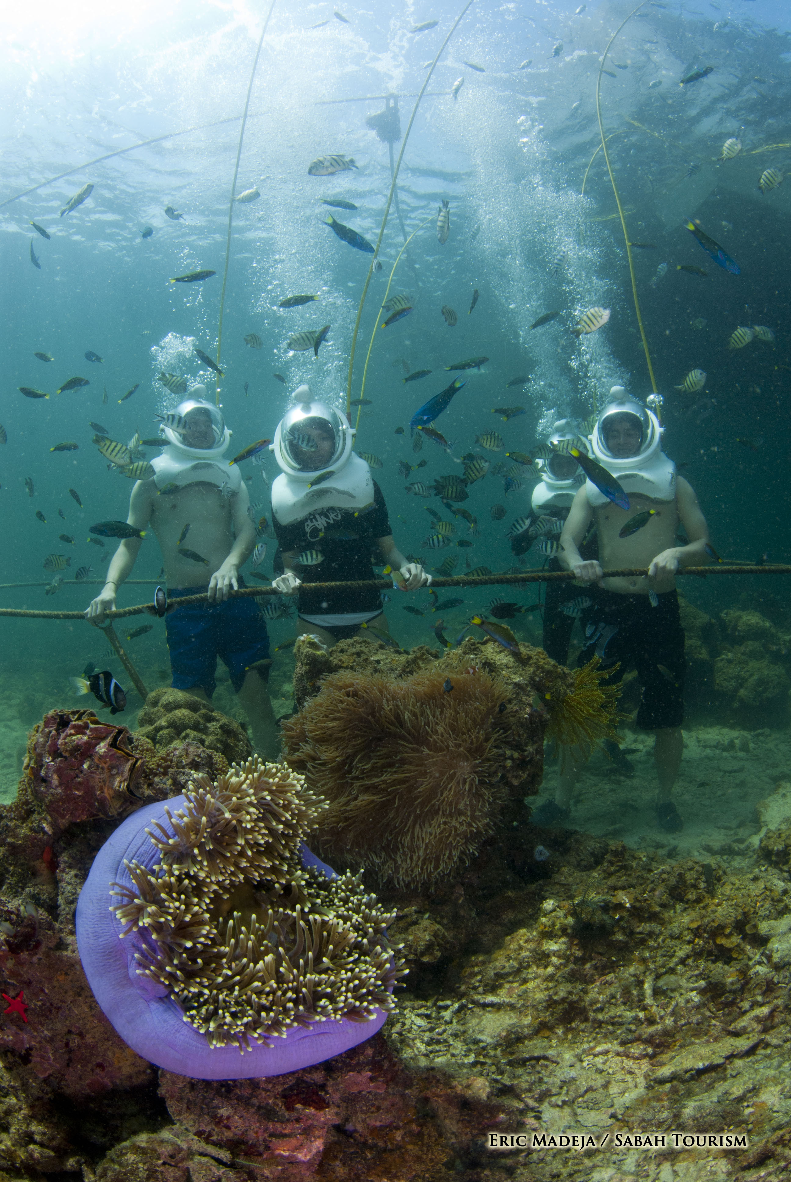 海底漫步是近年来沙巴最流行的水上活动,就算不谙水性也能轻松悠游