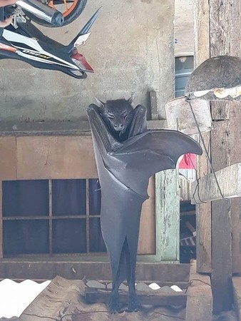 ▲▼巨蝙蝠倒掛金鉤睡覺，網：阿嬤養的。（圖／翻攝爆廢）