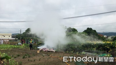 新北市再爆2例登革熱　「豐年菜園」列高風險區封園