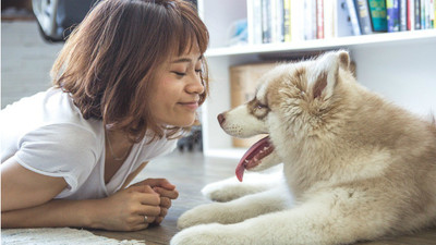 很多飼主還不知道寵物險　全國只有75隻愛犬貓咪有保障