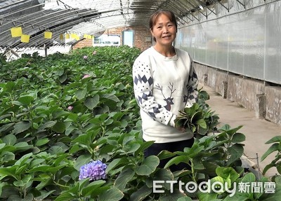 美麗寧夏／「生態移民」加精緻農業　閔寧造鎮助力脫貧