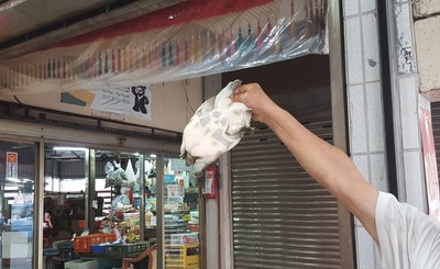 北市抽驗水產品　甲魚、黃魚有不得使用的動物用藥