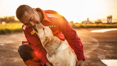 16狗英雄角逐「最萌搜救犬」　救人、出國比賽強得好難選