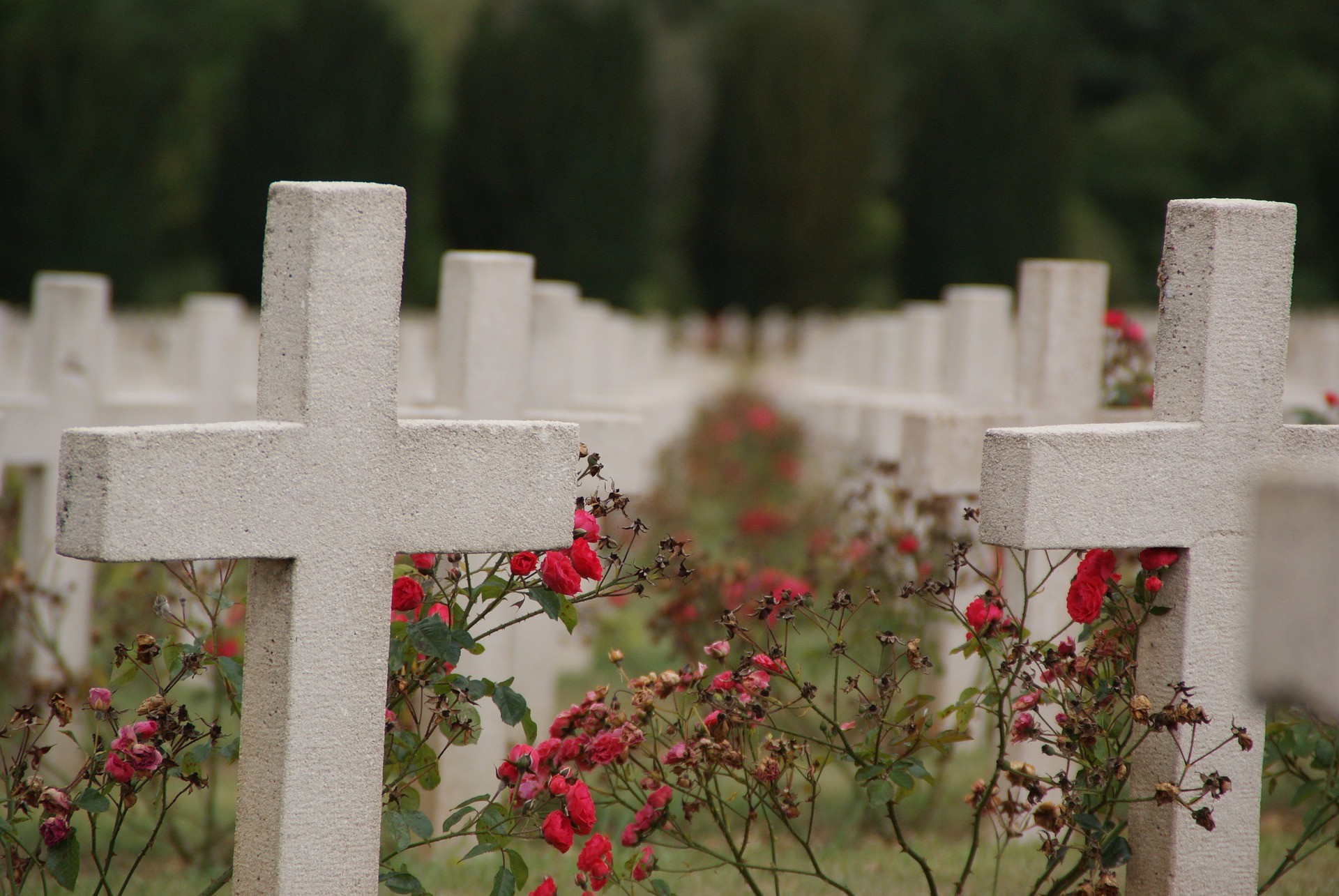 ▲▼葬禮，遺體，死亡。（圖／Pixabay）