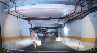 小白狗放繩亂竄險被輾！大媽拍車嗆「修養哥」輸贏：你住幾樓的