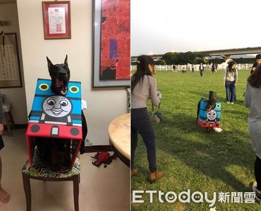 杜賓犬化身3D版湯瑪士小火車　一到公園...眾狗全被嚇跑