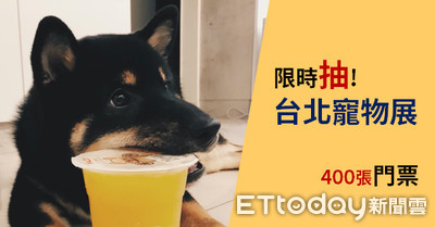 限時抽台北寵物展門票　飼料貓砂罐罐全面下殺囉！