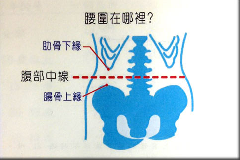 腰围正确量法图片