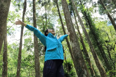 【廣編】對抗空污！登山運動換氣　山林芬多精洗肺保健康