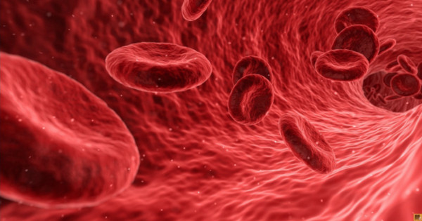 ▲紅血球。（圖／問8線上健康諮詢提供）