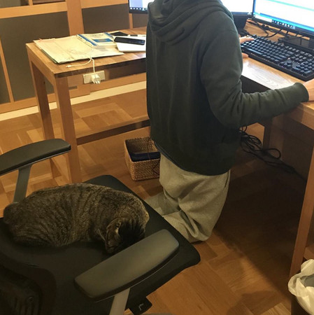 圣上睡趴他跪著看电脑 无奈背影笑翻网友:工作有猫更累!