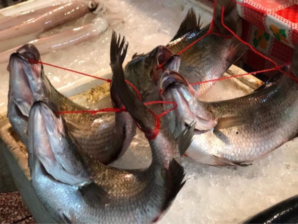 目击有人这样买鱼超不塑 网惊呆:难道是带宠物散步?