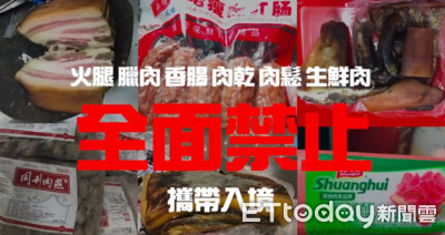 1分鐘懶人包！破解恐怖非洲豬瘟　「罐頭以外通通不准帶」抓到就罰20萬