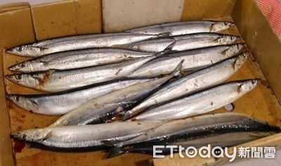 降膽固醇、抗疲勞...其實「秋刀魚」營養價值超高！