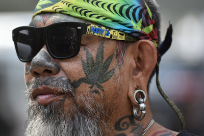 泰議員推「每戶最多種6株大麻」法案：可在家治病，別在街上吸