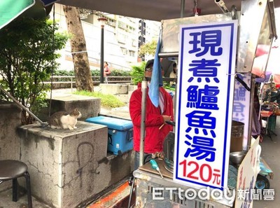 天天來等魚湯喝！流浪貓靜靜趴攤位　網友讚：主子很識貨喔