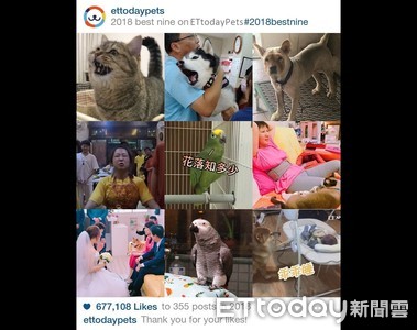 2018 Best Nine！貓學狗汪汪叫　蓮花太子被說像法鬥哭跟爺告狀