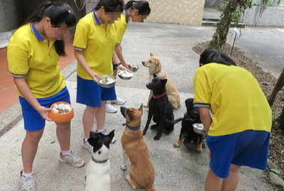 打敗輔大校犬雜摳！　豐珠國中「五狗古錐」成為校園人氣王