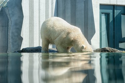 地球得以喘口氣！二氧化碳日排放量「降至14年前」...航空業銳減60%