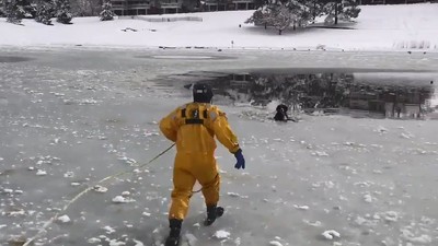 汪誤墜結冰湖不停悲鳴…就要滅頂之際　消防員帥氣撲救