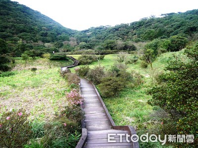 彷彿闖入高海拔森林秘境！陽明山健行、泡湯半日遊提案