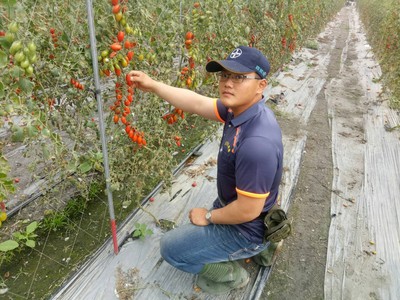 從小看著一畝田長大　他25歲當青農...勤學習盼種無毒健康蔬果