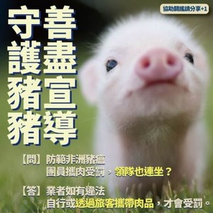 日本首度對野豬使用疫苗 防堵非洲豬瘟疫情擴散
