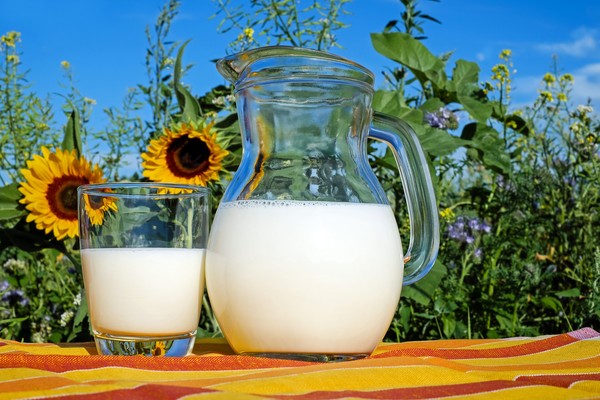 ▲原來低脂牛奶比全脂牛奶還胖！？。（圖／Pixabay）