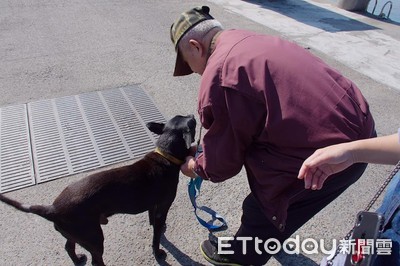 「阿公不在就不吃」Kuro走失1個月　飼主：冰箱還有鮮食等你回來吃