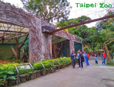 台北動物園打造「空中走道」　狐猴搬到兒童區曬日光浴