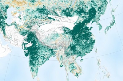 地球綠意盎然！植被新增1個亞馬遜雨林大...全都歸功中國大陸、印度
