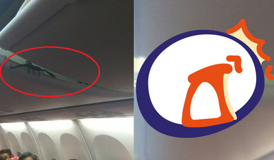 30cm「超巨黑蠍」從行李架爬出！　機內乘客看牠「就在頭頂上」嚇瘋