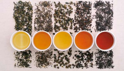 油切茶百百款 效果最好的是「這種」