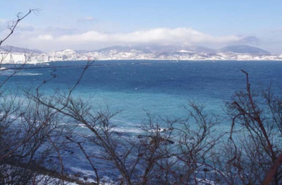 公鯡魚群求偶「集體噴發」　北海道海岸被染成「一片乳白」