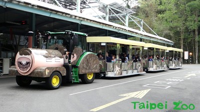 動物園「穿山甲列車」3節車廂坐滿滿　每趟只要銅版價！