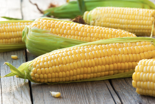 水果玉米是水果还是蔬菜?