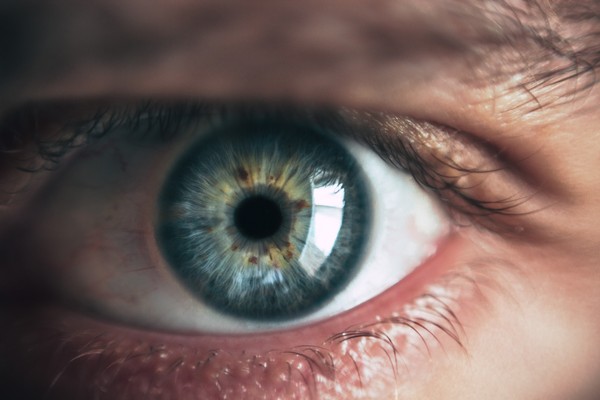 ▲ 避免過度用眼，做好眼睛保健。（圖／Victor Freitas-pixabay）