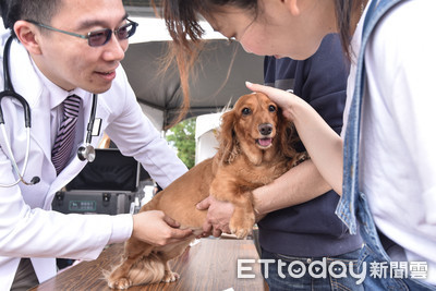 好朋友野餐日遛狗兼健診！　毛孩「傻笑看醫生」排隊擠爆攤位