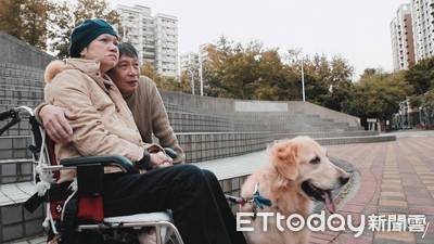 妻「左腦損壞」什麼都忘了！他開酒吧原因超催淚　輪椅推到門口...她笑了