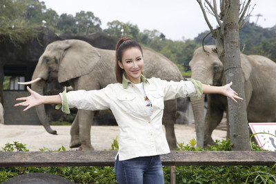 李玟現身台北動物園！捲起衣袖為非洲象「鏟屎」　她笑：小Case啦