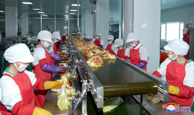 民眾窮到吃不起泡菜！金正恩下令建泡菜工廠　銷量不到產量一半